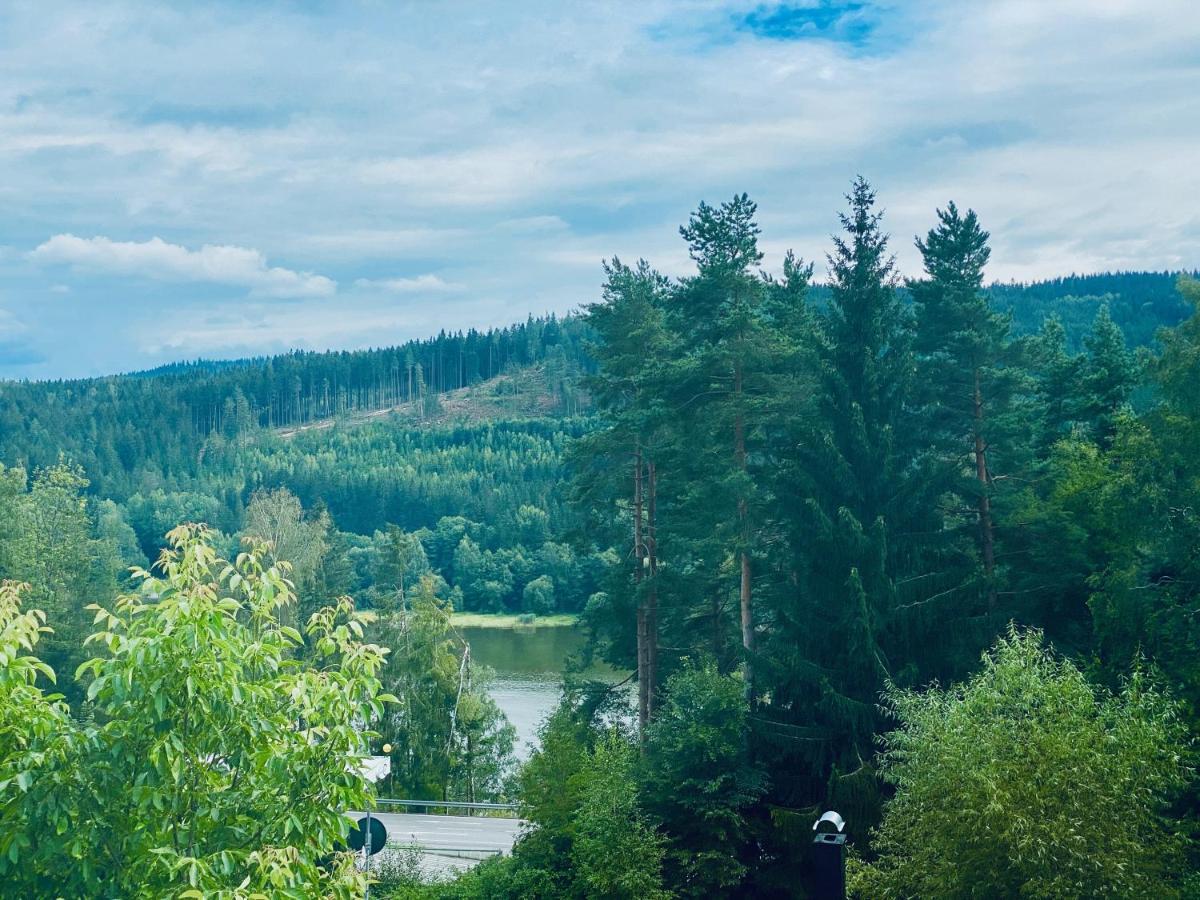 Apartmany Lipno 46 Lipno nad Vltavou Eksteriør billede