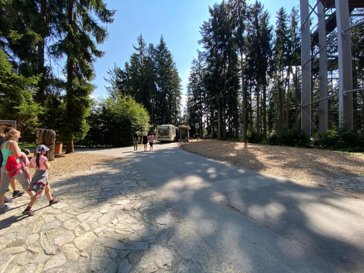 Apartmany Lipno 46 Lipno nad Vltavou Eksteriør billede
