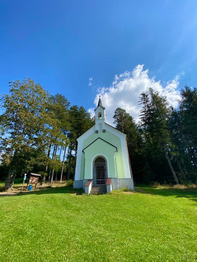 Apartmany Lipno 46 Lipno nad Vltavou Eksteriør billede