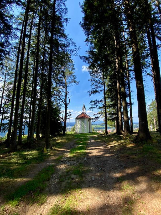 Apartmany Lipno 46 Lipno nad Vltavou Eksteriør billede
