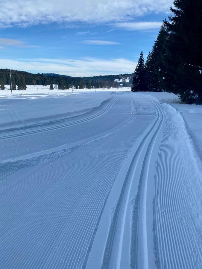 Apartmany Lipno 46 Lipno nad Vltavou Eksteriør billede