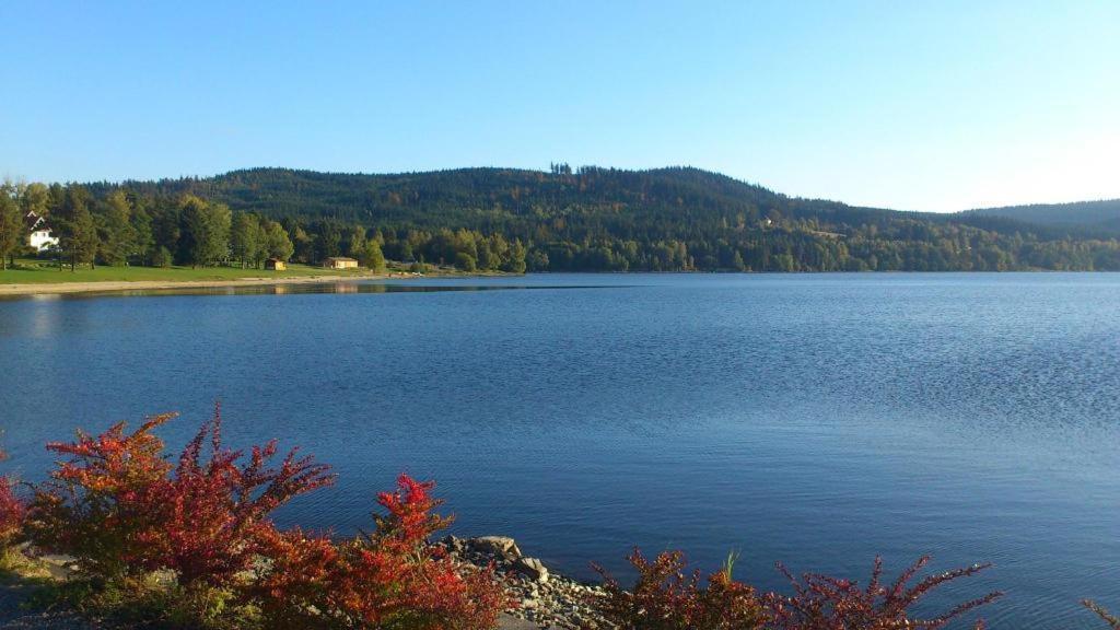 Apartmany Lipno 46 Lipno nad Vltavou Eksteriør billede